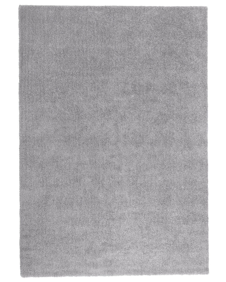 Shaggy Area Rug 200 x 300 cm Light Grey Demre