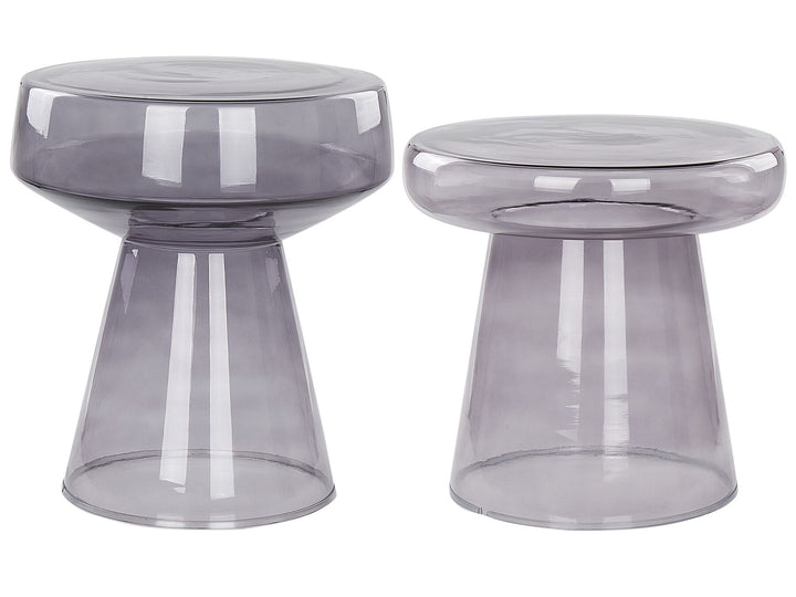 Set of 2 Glass Side Tables Grey Laguna/Caldera